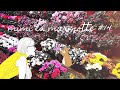 【Vlog パリライフスタイル】#14 インタビュー　CF Japon (Preserved Flowers)  Interview CF Japon【Lifestyle in Paris】