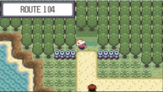 Pokemon Marron Merda ep 1:Ricominciamo con piu risate!!