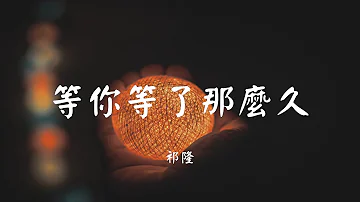 等你等了那么久 - 祁隆【动态歌词 Lyric】 高音质「宁愿这样为你守候...」