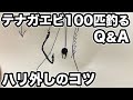 テナガエビ  100匹釣るための  Q＆A集！  【ハリ外しのコツ   並べ釣り  手長エビ】