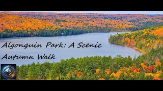 Algonquin Park: A Scenic Autumn Walk
