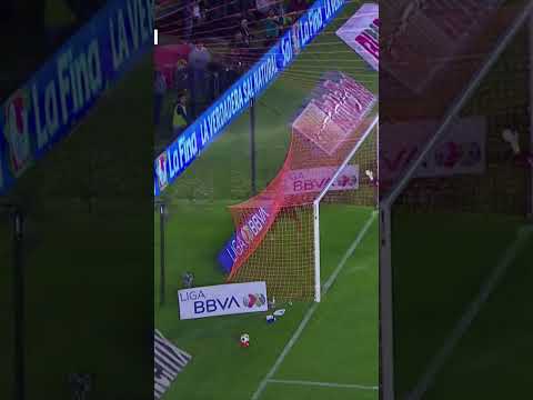 ¡NO CRUZÓ! El