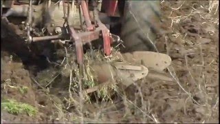 картинка: Село Извор прв дел