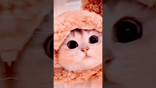 #funny
