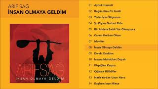 İnsan Olmaya Geldim - Arif Sağ Resimi