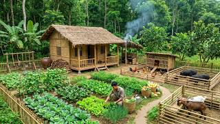 Leaving a $1,500 Salary to Build a Self-Sufficient Farm from Scratch!