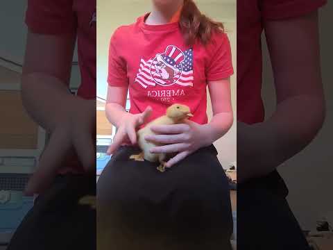 I got duckksss!!!