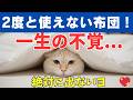 どこにでも入りこんで、飼主を困らせる猫!
