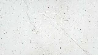 Unisson - Point of You
