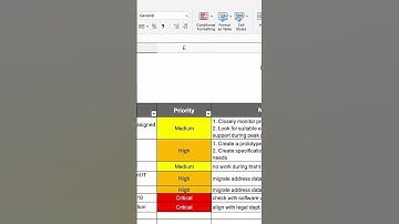 RAID Log of a real project   #projectmanagement #templates #exceltemplates