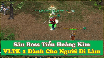 Những Giây Phút Săn Boss Tiểu Hoàng Kim Cùng Với Anh Em Lớn Tuổi Tại VLTK 1 Dành Cho Người Đi Làm