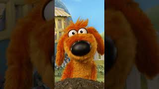 🔴 What's round and bouncy? 🔵 | Donkey Hodie | PBS KIDS #Shorts