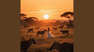 Safari Ya Mapenzi