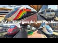 Ref:_KbGbDbudD8 Tgv et ter en gare de lyon-part-dieu