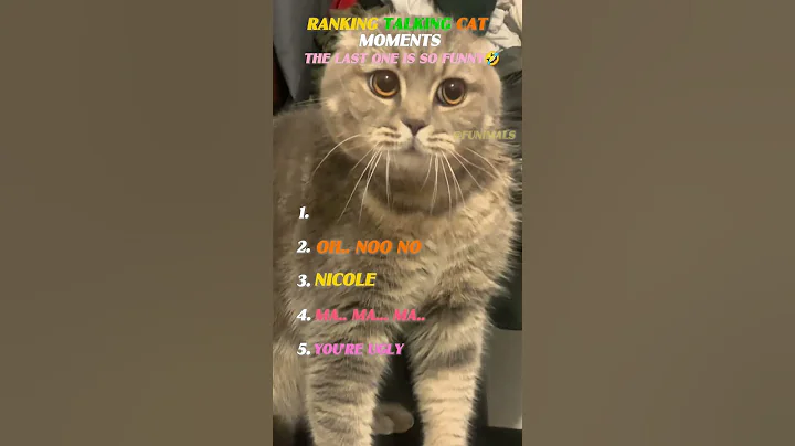 Video 11534651: funnycats cute cats animals, funny cat talking