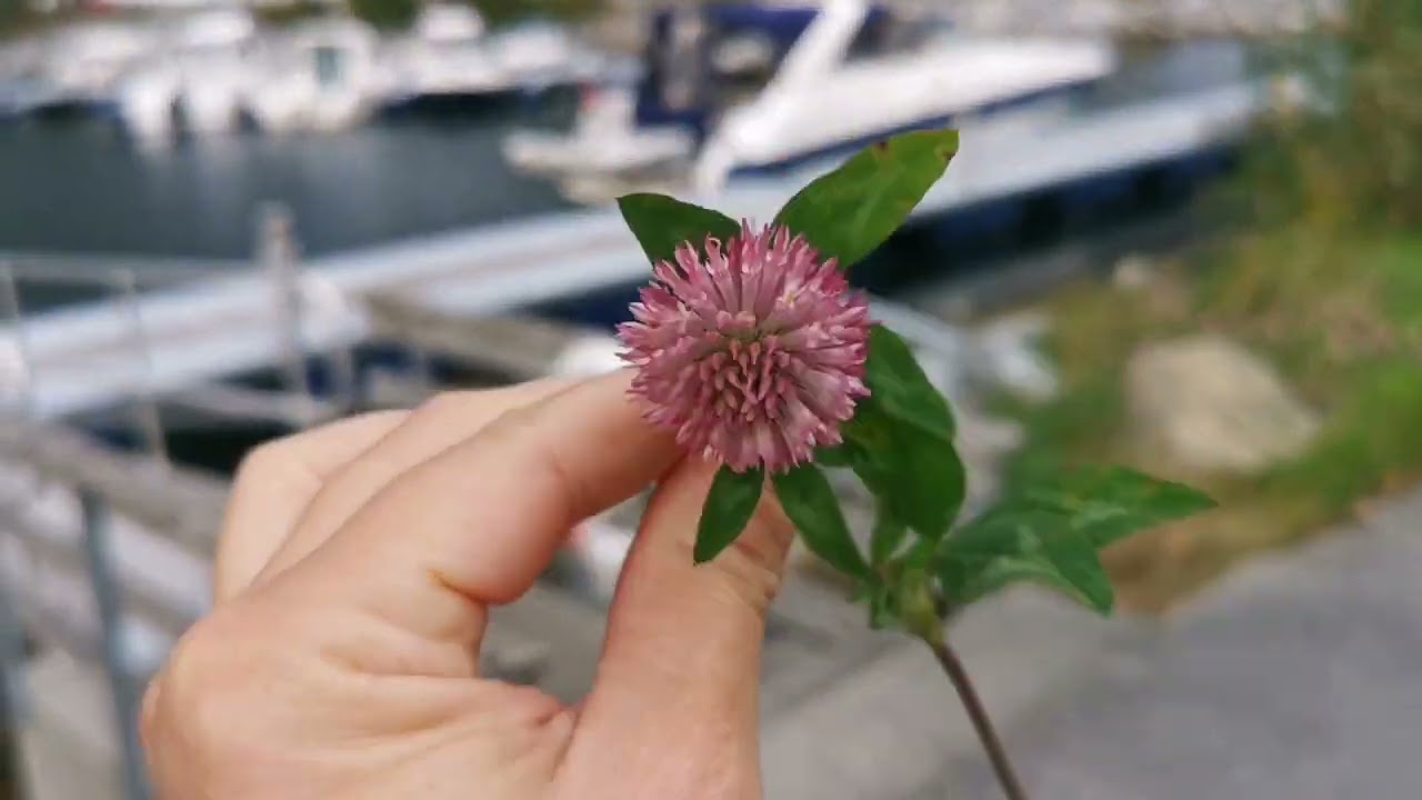 Valldal, Norway september 2023