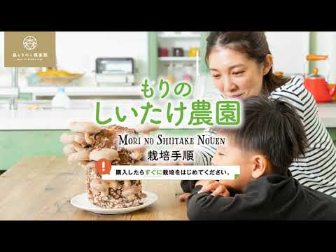 きのこ原木栽培キットをギターに！失敗しない育て方とコツ
