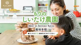しいたけ栽培キット「もりのしいたけ農園」 の栽培手順をご紹介！お家で手軽に始められる家庭菜園｜お子さまの食育｜栽培体験ギフト #しいたけ栽培 #しいたけ栽培キット #椎茸栽培 #椎茸栽培キット #食育
