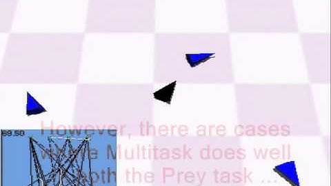 Evolved Agents: Predator/Prey Game: Multitask