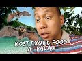 MOST EXOTIC FOOD I'VE EVER TRIED! (PALAU) | Vlog #468