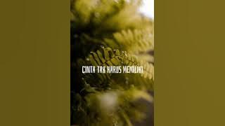 Cinta Tak harus memiliki - ST 12 - LIRIK - Cover By Tami Aulia