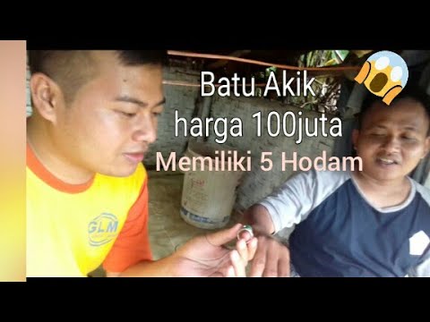 Cincin merah delima yang di tunjukkan Bapak Basuki (BTP) menjadi viral krn AJAIB Tapi benar kah aj. 