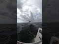 2023 J22 Midwinters champion spinnaker set #sailing #sports ##life #school #boat