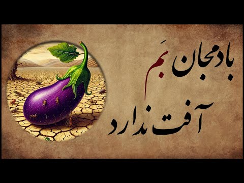 مقاوم مثل بادمجان بم پشت پرده این ضرب المثل معروف
