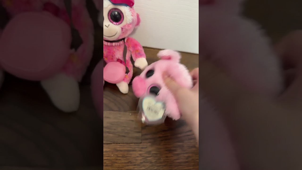 Corky and strawberry/ 