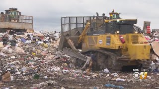Reducing Your Environmental Footprint: How To Reuse, Recycle, Repurpose