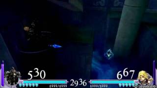 Dissidia Final Fantasy: X-Link Kai Match - Remahlehs (Gabranth) vs. Momo (Zidane)