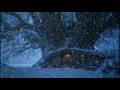 The Ultimate Forest Shelter Sanctuary | 8 Hours of Intense Snowstorm for Sleep