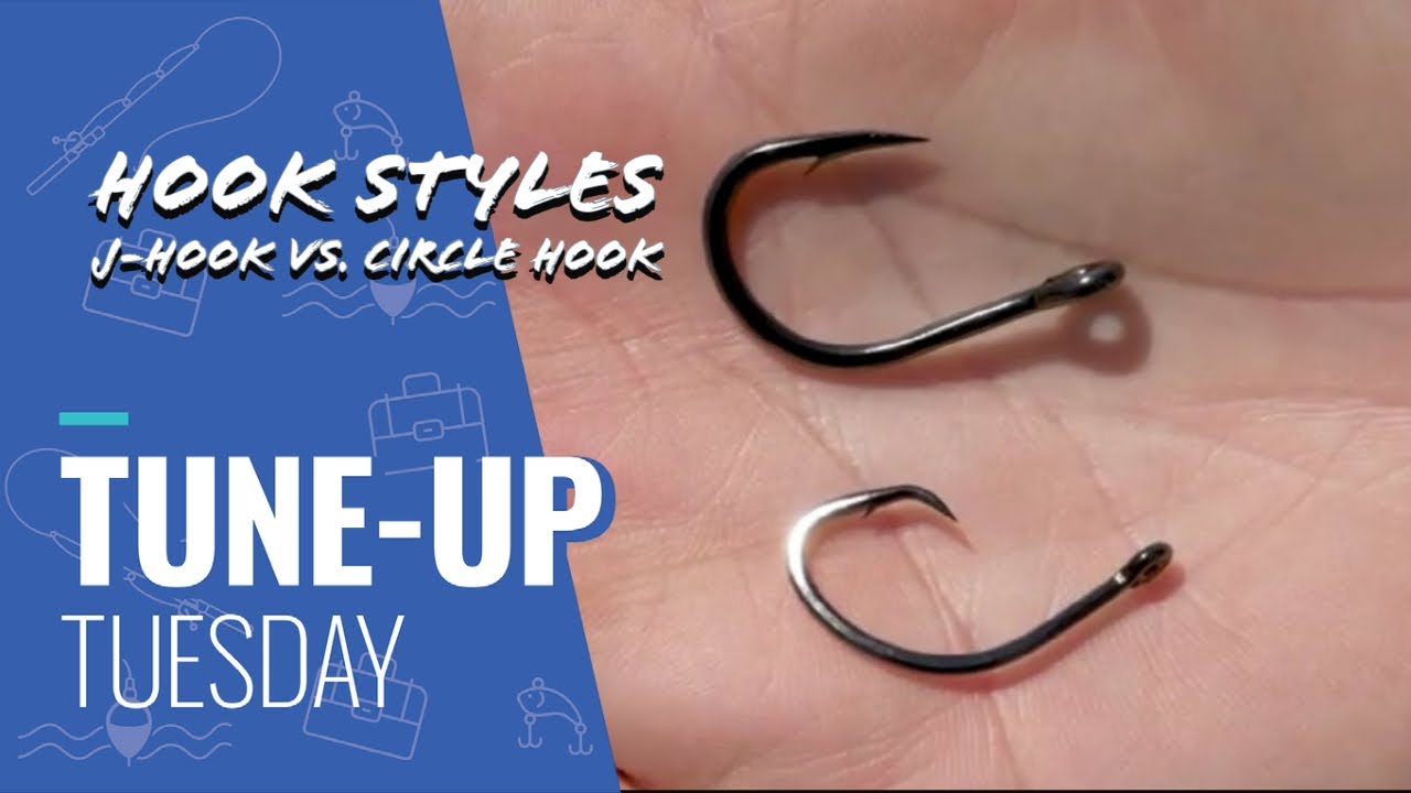 Circle Hooks For Catfish - 3 Mistakes That Cost You Fish 