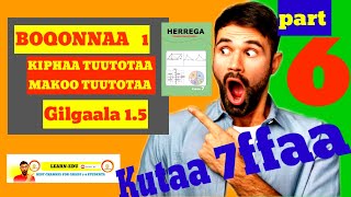BARNOOTA HERREGAA KUTAA 7FFAA BOQONNAA 1 MAALUMMAA KIPHAA TUUTOTAA PART 6