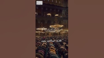 أواخر سورة النبأ - القارئ عبدالعزيز سحيم