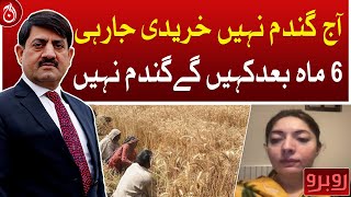 Wheat is not being bought today, after 6 months they will say no wheat: Sharmila Faruqui - Aaj News