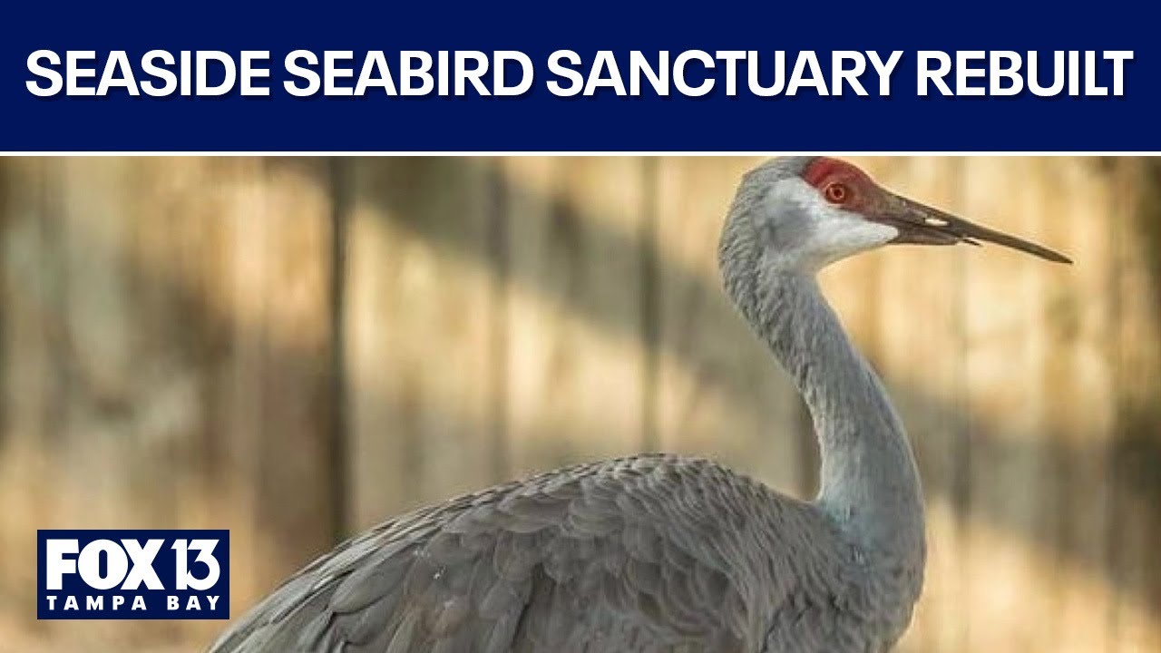 Seaside Seabird Sanctuary rebuilt after hurricanes