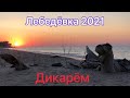 Лебедёвка дикарем (2021). Безлюдная коса. Куда лучше пойти и что посмотреть.