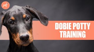 Doberman Puppy Potty Training 5 Simple Methods For Effective Training
