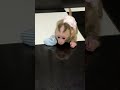 #monkeylove #monkeybaby #adorable #adorablemonkey #babyanimal #monkeysmart