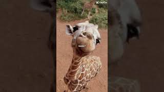 THESE ARE ALL MY BEST FRIENDS ESPECIALLY YVONNE AND ISABELLA!!!