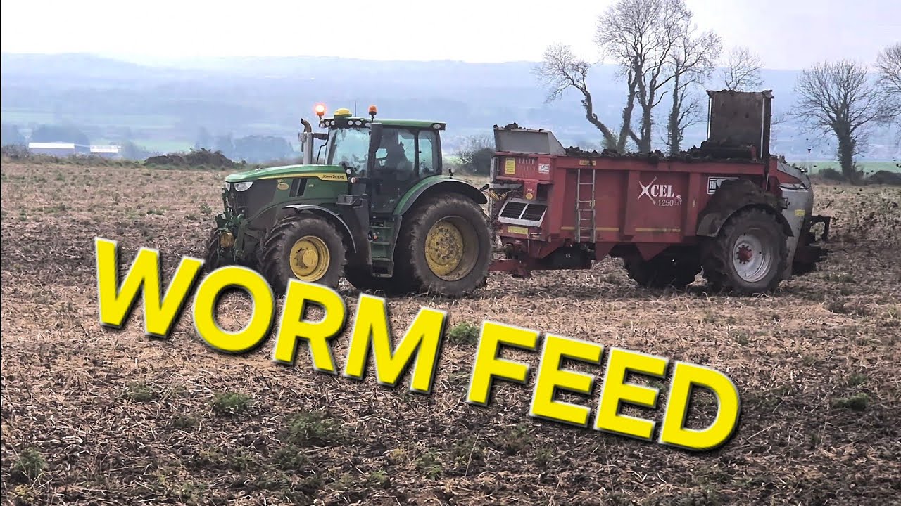 NEW CALVES, SPREADING DUNG MORE