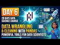 Day 6: Data Wrangling and Cleaning with Pandas