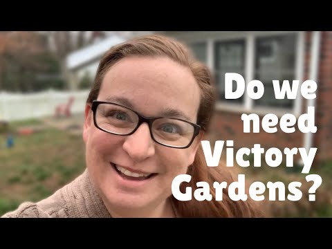 raised-garden-beds-for-less-than-$100-||-do-we-need-victory-gardens?