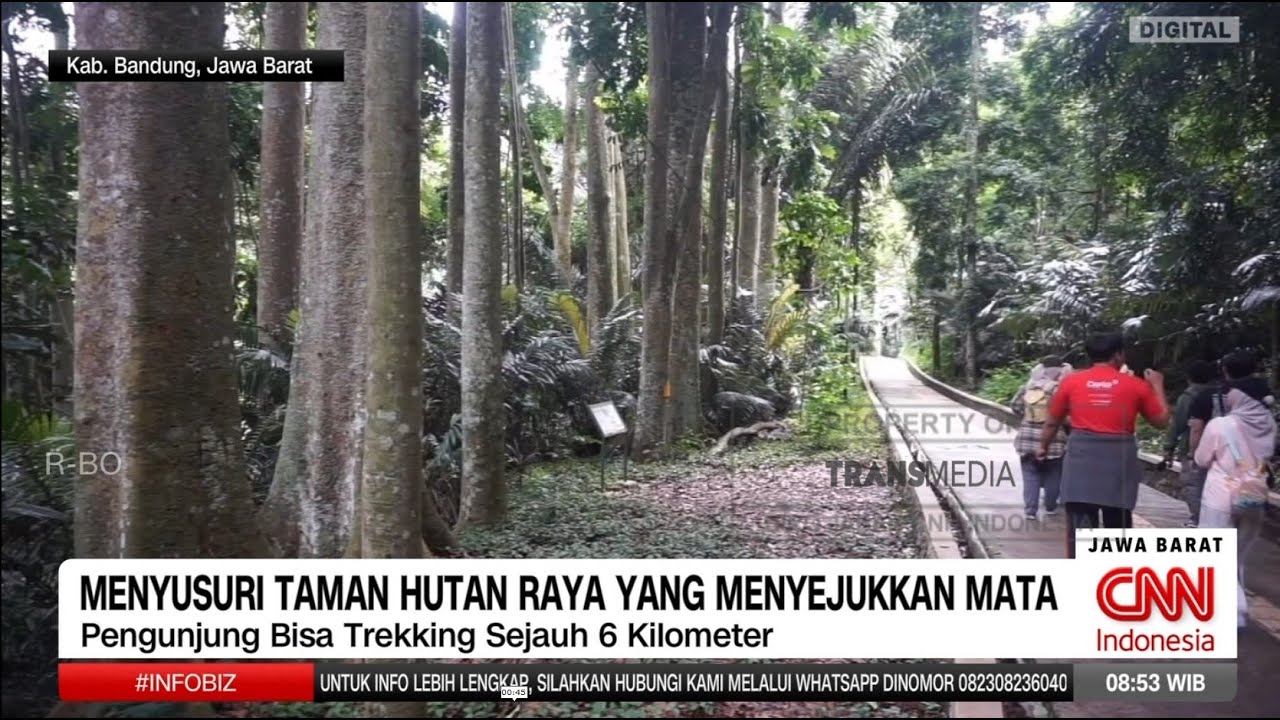 Wisata Menyusuri Taman Hutan Raya Ir. H. Djuanda