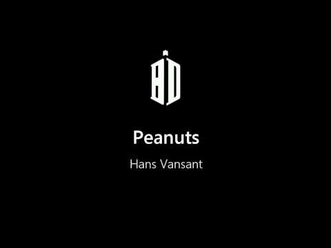 Peanuts Hans Vansant Performed By Youth Brassband Kempenzonen