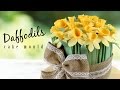Daffodils Cake Decorating Mould How To