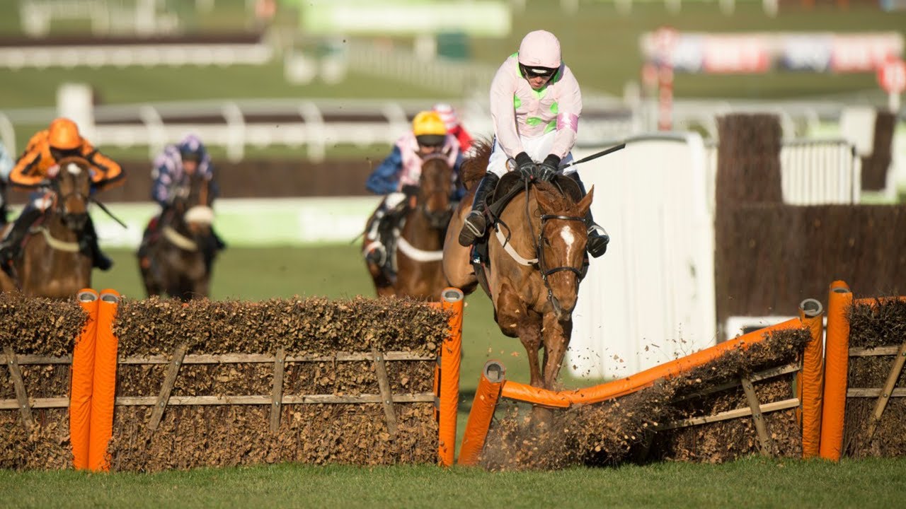 Cheltenham Festival 2015 Highlights