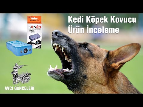 Köpek Kovucu, Sonik Köpek Kovucu, Avcı Günceleri