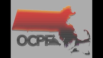 The depository bank reporting system: An overview